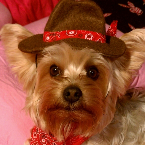 Meet your Posher, Think - Picture 2 of 5